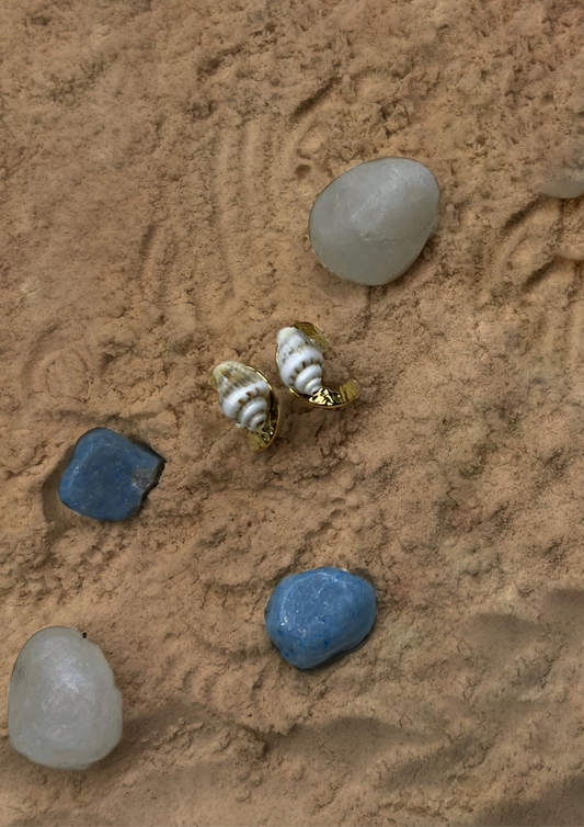 Coral Shell (adjustable)