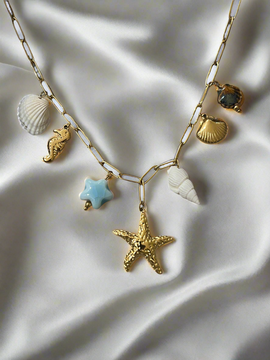Charm coast